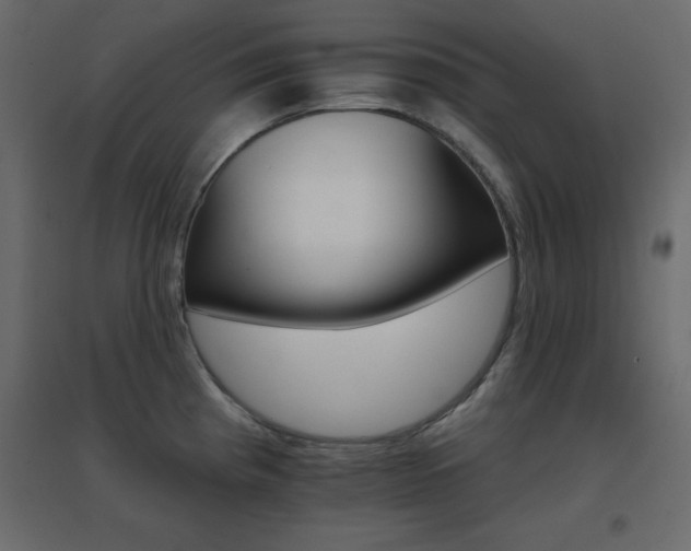X0000096661193200802051211