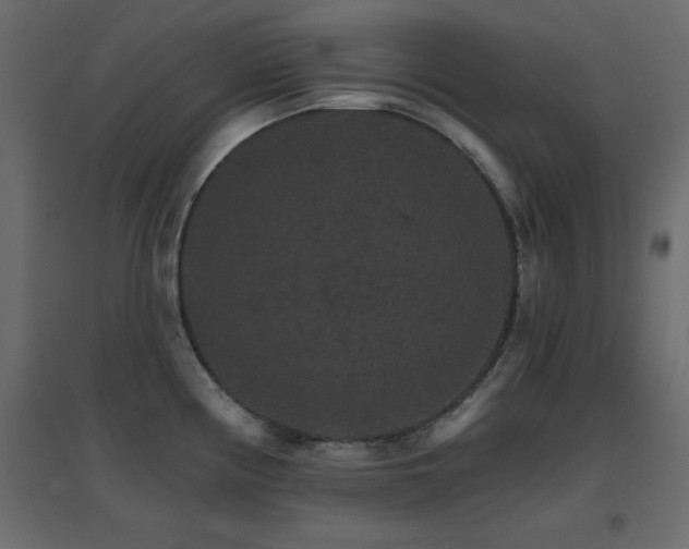 X0000096661194200802051211