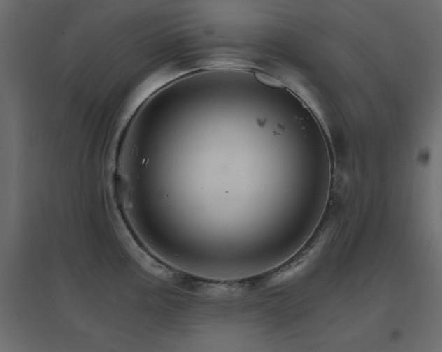 X0000096661195200802051211
