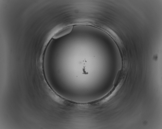 X0000096661196200802051211