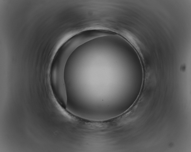 X0000096661197200802051211