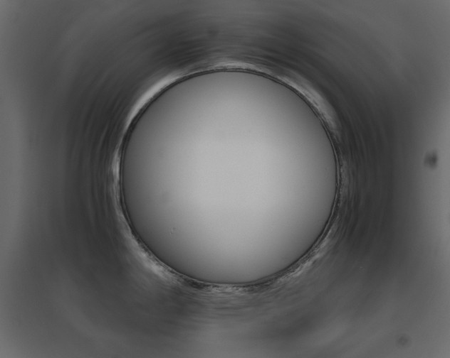 X0000096661198200802051211