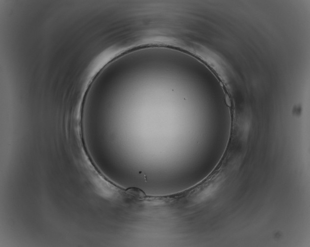 X0000096661199200802051211