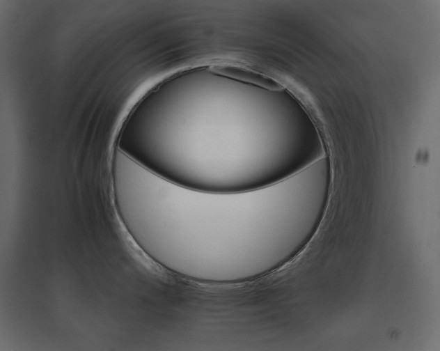 X0000096661200200802051211