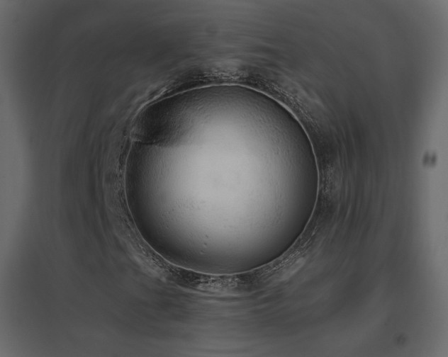 X0000096661201200802051210