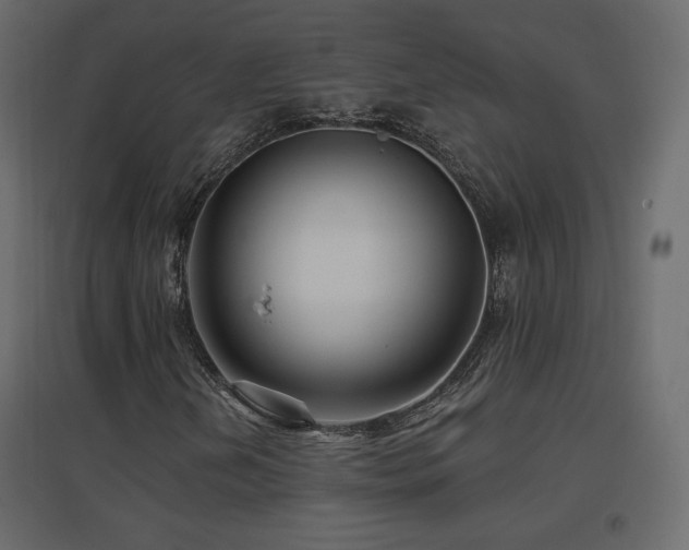 X0000096661202200802051210