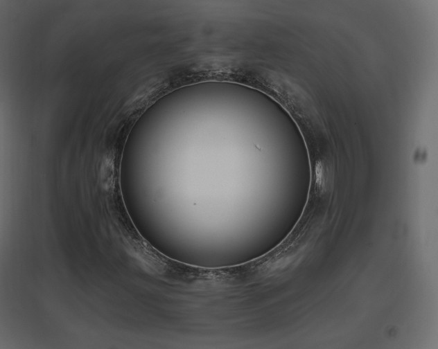 X0000096661203200802051210