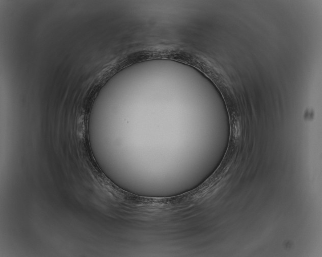 X0000096661204200802051210