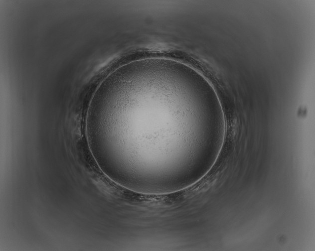 X0000096661205200802051210