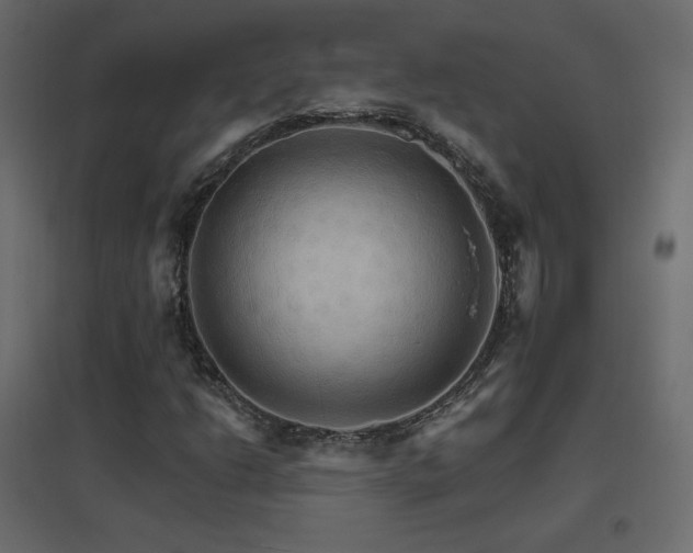 X0000096661206200802051210
