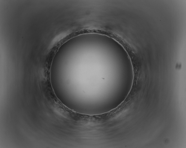 X0000096661207200802051210