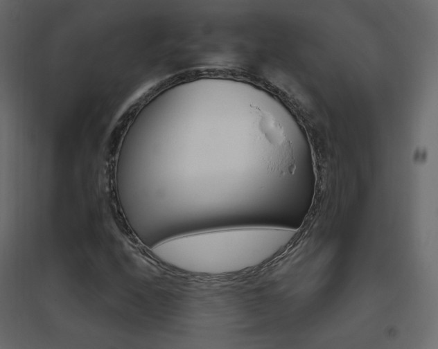 X0000096661208200802051210