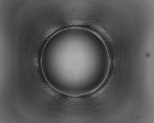 X0000096661209200802051210