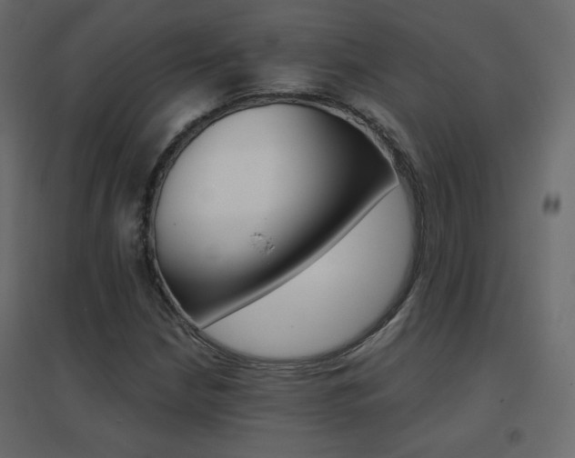 X0000096661210200802051210
