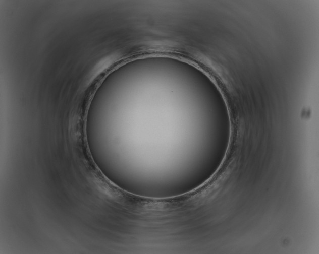 X0000096661211200802051210