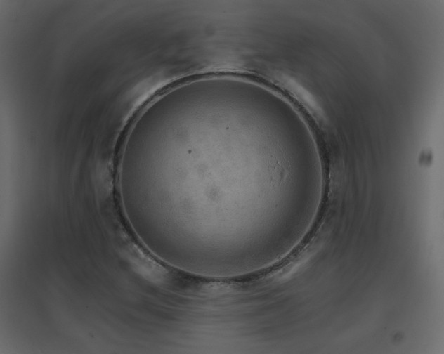 X0000096661212200802051210