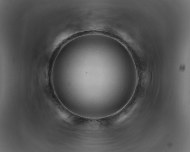 X0000096661214200802051210