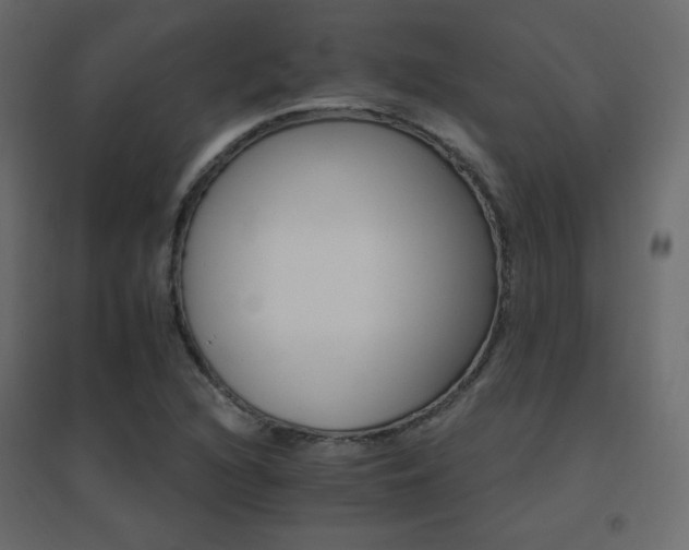 X0000096661216200802051210