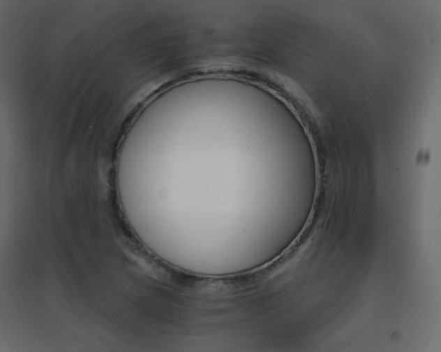 X0000096661217200802051210