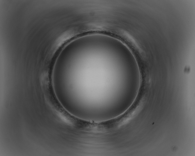 X0000096661218200802051210