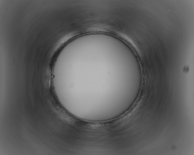 X0000096661219200802051210