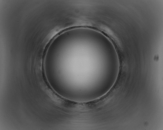 X0000096661220200802051210