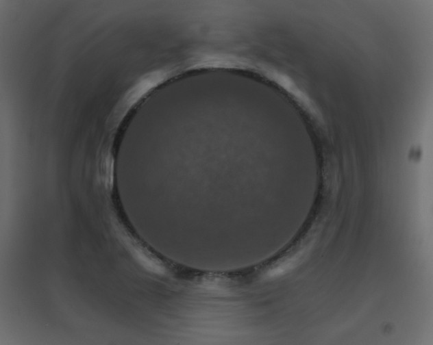 X0000096661221200802051211