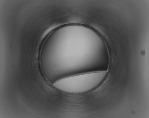 X0000096661222200802051211