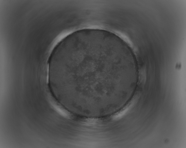 X0000096661223200802051211