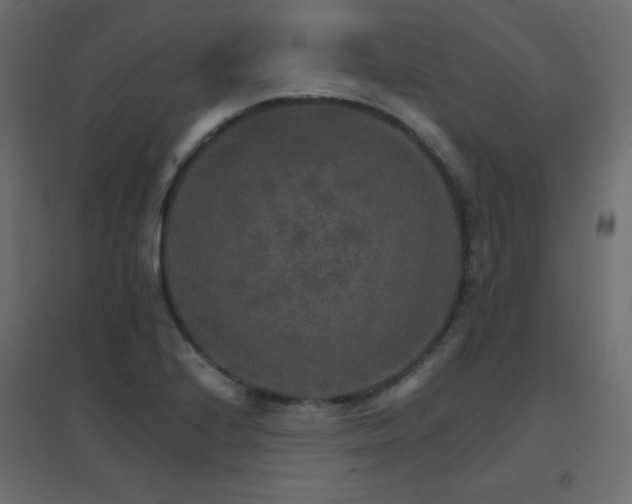 X0000096661224200802051211