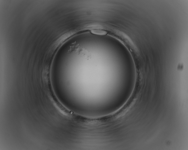 X0000096661225200802051211