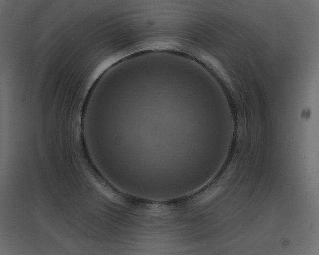 X0000096661226200802051211
