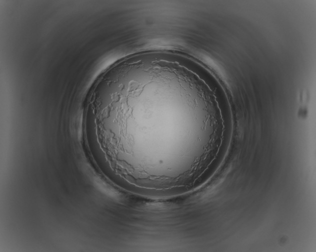 X0000096661227200802051211