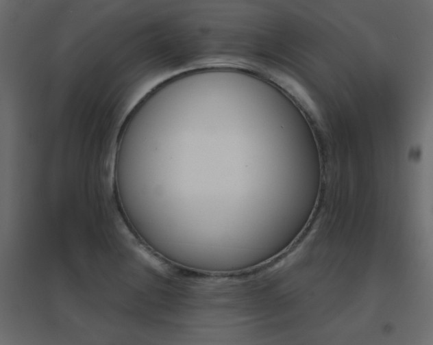 X0000096661228200802051211