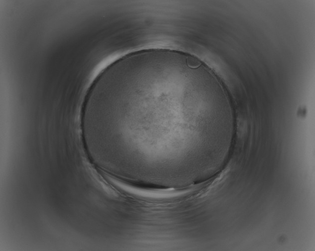 X0000096661230200802051211
