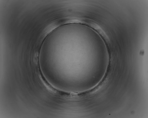 X0000096661233200802051211