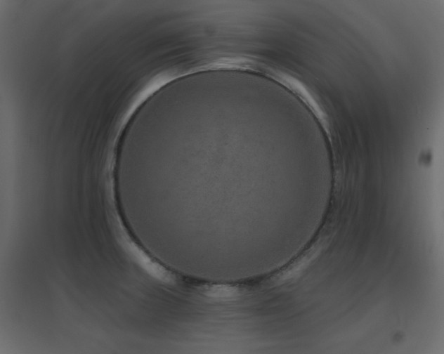 X0000096661235200802051211