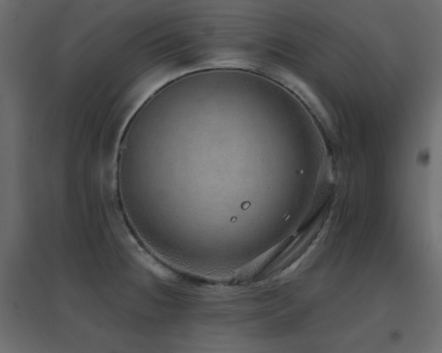 X0000096661236200802051211