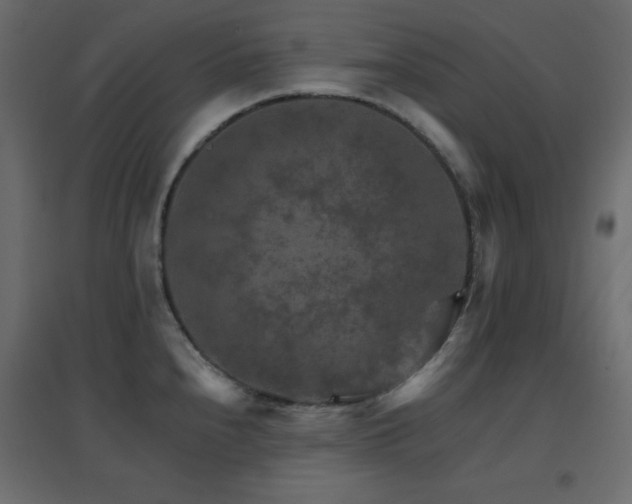 X0000096661240200802051211