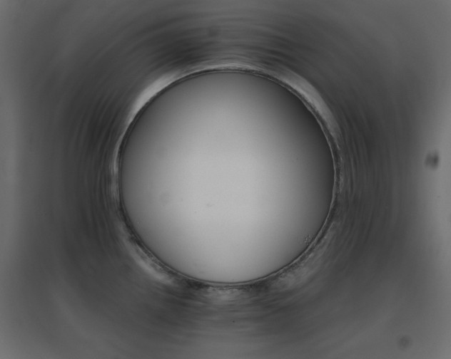 X0000096661242200802051211