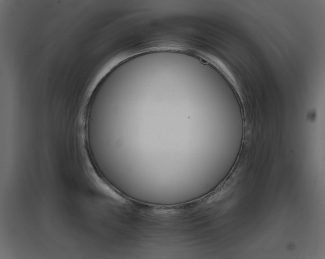 X0000096661243200802051211