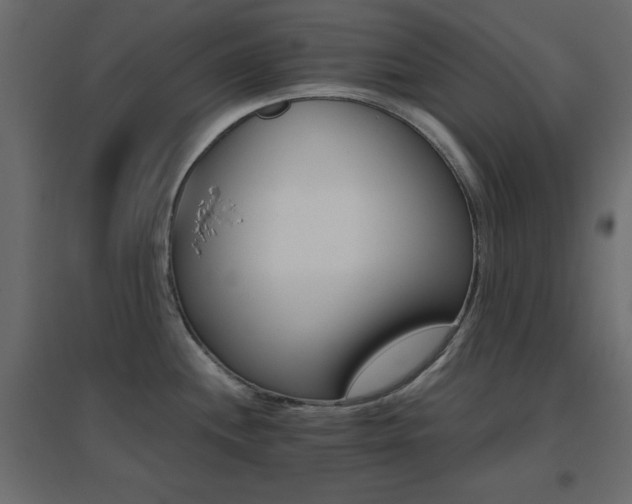 X0000096661244200802051211