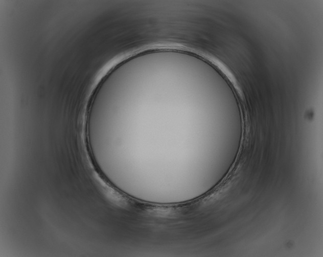 X0000096661245200802051211