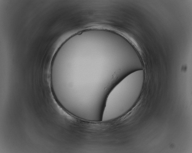 X0000096661247200802051211