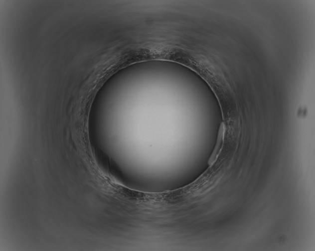 X0000096661249200802051210