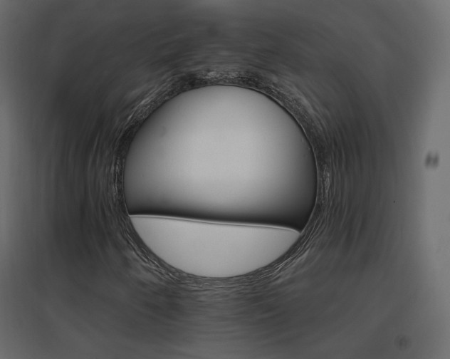 X0000096661250200802051210