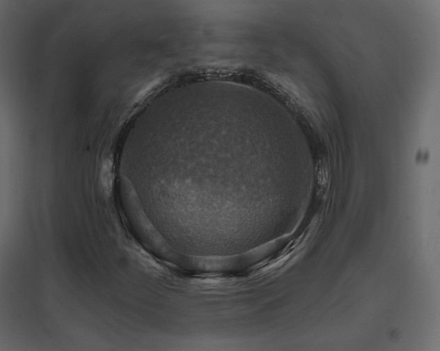 X0000096661252200802051210