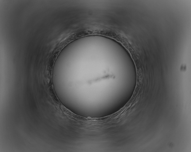 X0000096661253200802051210