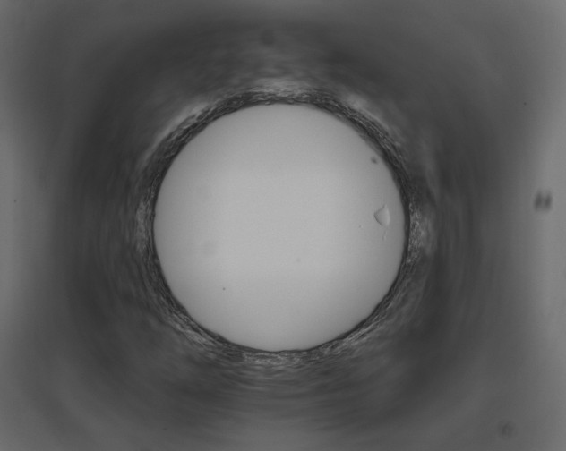 X0000096661254200802051210