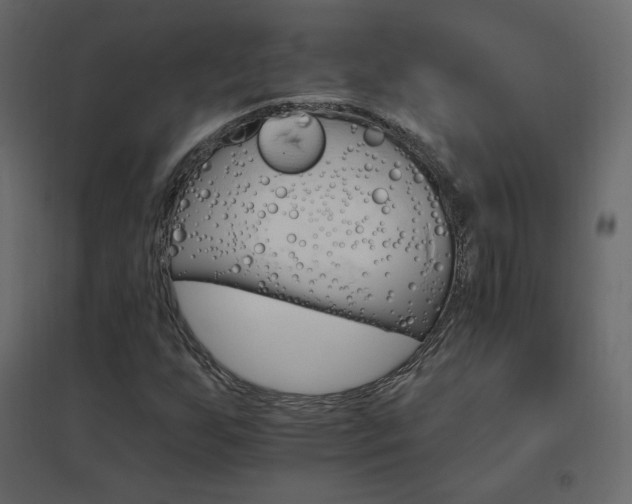 X0000096661255200802051210